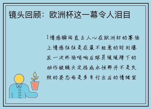 镜头回顾：欧洲杯这一幕令人泪目