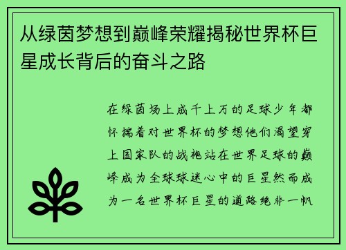 从绿茵梦想到巅峰荣耀揭秘世界杯巨星成长背后的奋斗之路